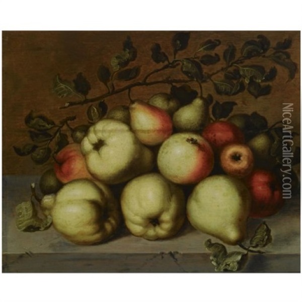 A Still Life With Pears And Apples On A Stone Ledge Oil Painting - Johannes Bouman
