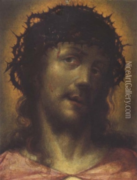 Das Haupt Christi Oil Painting - Carlo Dolci