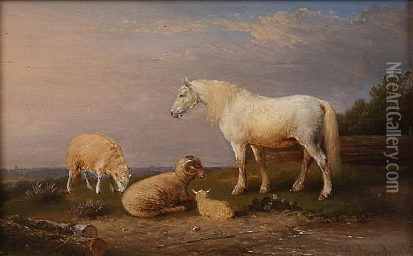 A Bull And Sheep In A Pasture; Also Acompanion Landscape (a Pair) Oil Painting - Franz van Severdonck