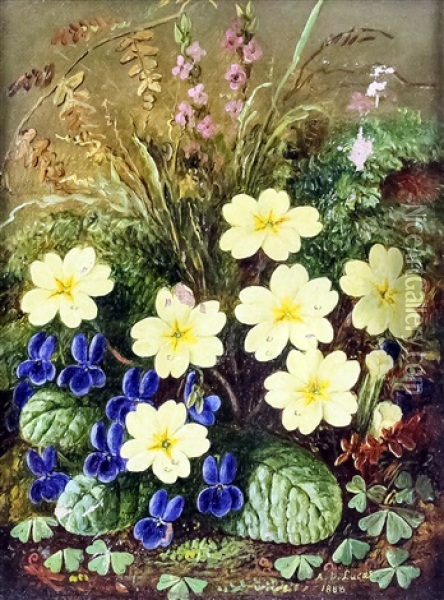 Still Life Of Wild Flowers Oil Painting - Albert Durer Lucas