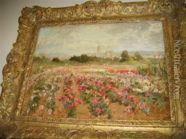 Poppy Field With Distant Castle Oil Painting - Sir David Murray