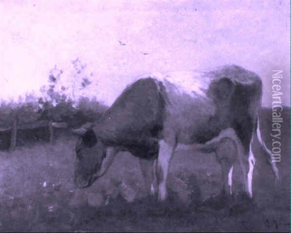 Warme Dag: Cow Grazing In A Meadow Oil Painting - Anton Mauve