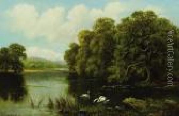 Swans On The River Oil Painting - William Langley