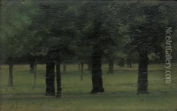 Study Of Trees In Kensington Gardens Oil Painting - Paul Fordyce Maitland