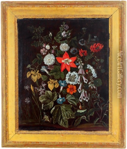Ein Blumenstraus Mit Einem Frosch Oil Painting - Alida Withoos