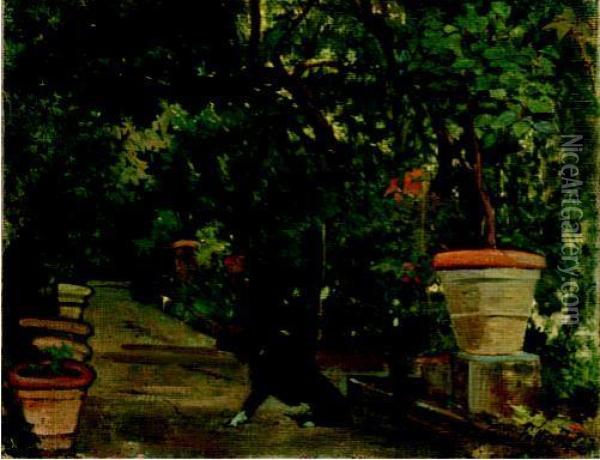 Vialetto In Giardino Con Cane (o Giardino Con Cane, O Il
Giardino) Oil Painting - Giovanni Fattori