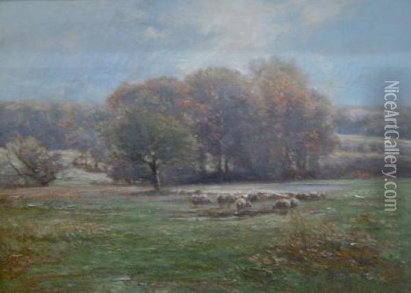 Sheep In A Landscape Oil Painting - Carl Weber