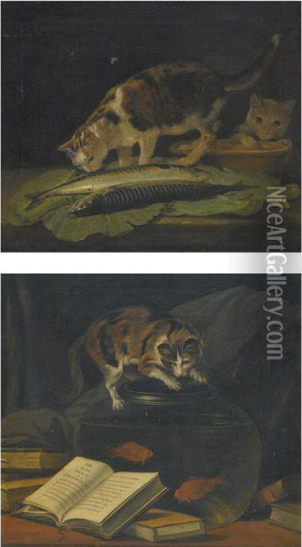 A Still Life With A Cat Examining Two Fish On A Table And A Catexploring An Earthenware Bowl Oil Painting - Martin Ferdinand Quadal