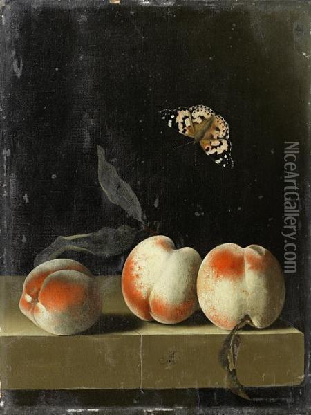 Three Peaches On A Stone Ledge With A Red Admiral Butterfly Oil Painting - Adriaen Coorte