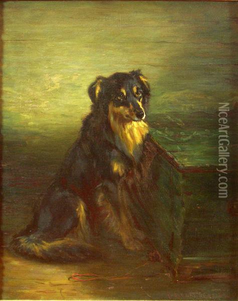 A Scots Collie Oil Painting - Robert L. Alexander