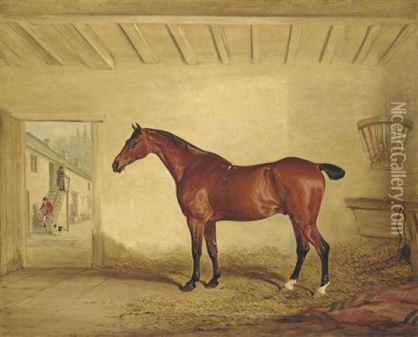The Bay Hunter Draper, In A Stable Oil Painting - John E. Ferneley