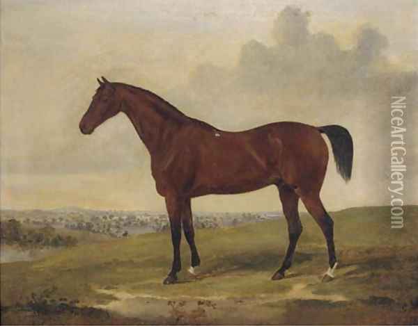 Bloomsbury, a bay racehorse Oil Painting - David of York Dalby