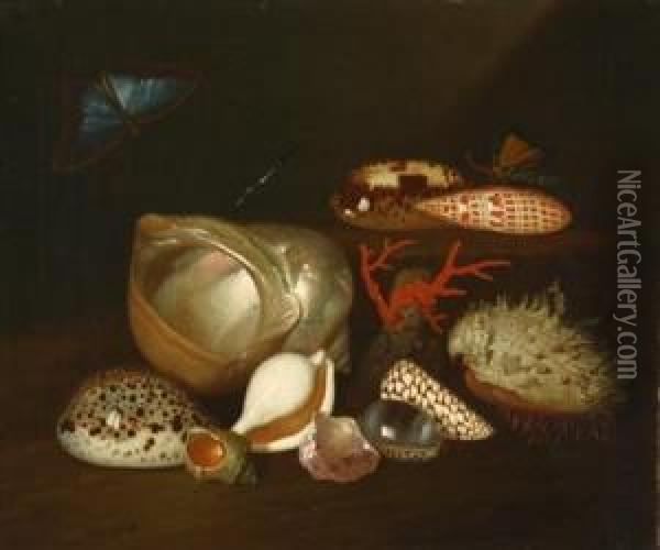 Still Life With Insects And Shells Oil Painting - Balthasar Van Der Ast