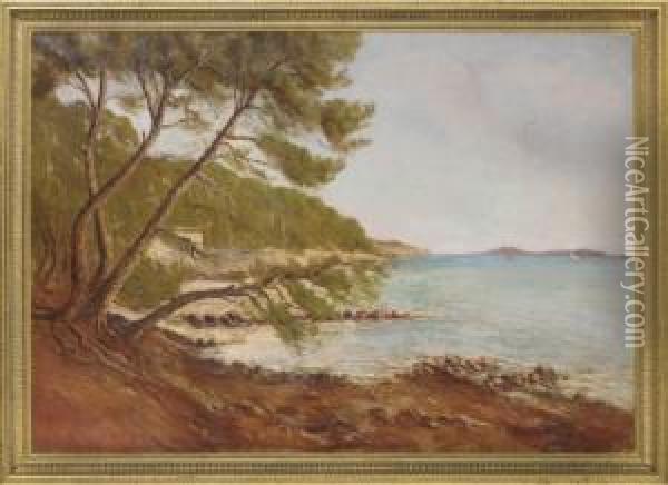 A View Along The Coast, Port Jackson, New South Wales Oil Painting - W. Vincent