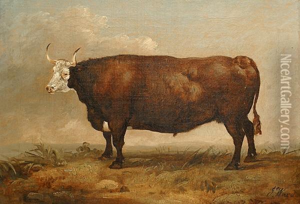A Bull In A Landscape. Oil Painting - James Ward