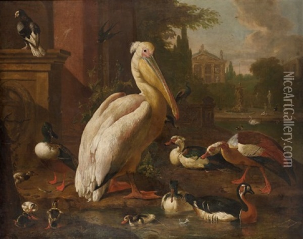 Pelican Et Canards Dans Un Parc Oil Painting - Melchior de Hondecoeter