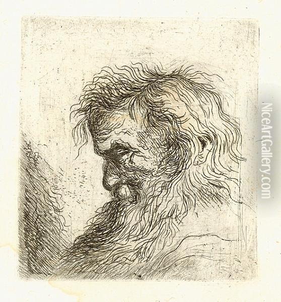 Head Of An Old Man In Profile To The Left (bartsch 40) Oil Painting - Jan Lievens