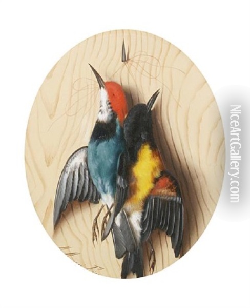 Still Life Of Birds (+ Still Life Of Birds, Smllr; Pair) Oil Painting - Michelangelo Meucci