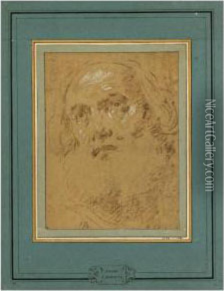 Head Of A Bearded Old Man Oil Painting - Giacomo Cavedone