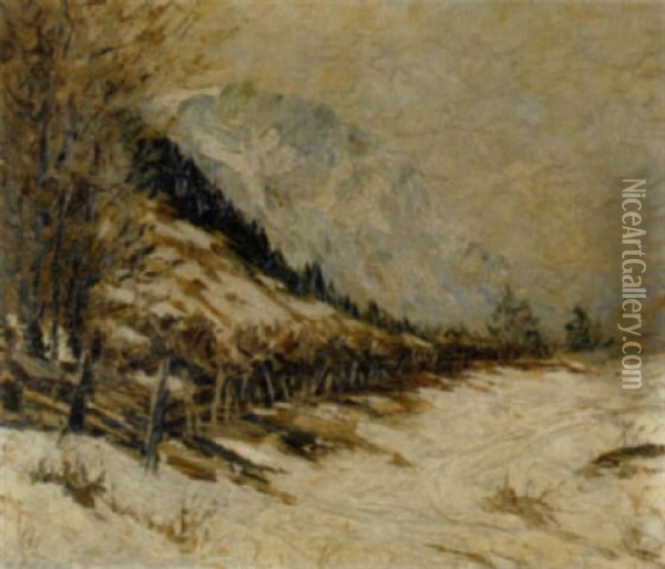 Der Schneeburg Vom Buchberg Aus Im Winter Oil Painting - Rolf Sigurd