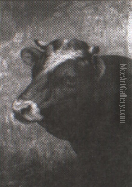 Head Of A Cow Oil Painting - William Preston Phelps