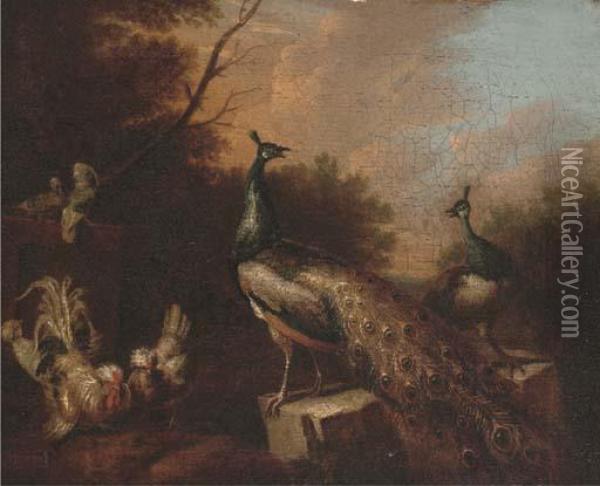 Peacocks And Chickens In A Landscape Oil Painting - Pieter III Casteels