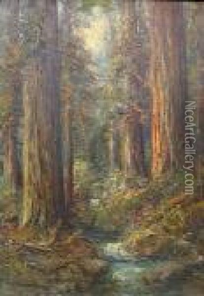 A Creek In The Redwoods Oil Painting - Charles Henry Harmon
