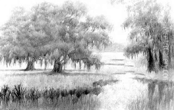 Louisiana Live Oaks In The Mist Oil Painting - Alexander John Drysdale
