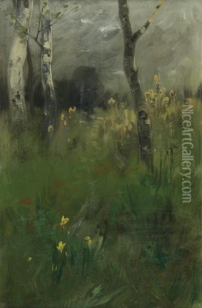 Birches Oil Painting - Roman Kochanowski