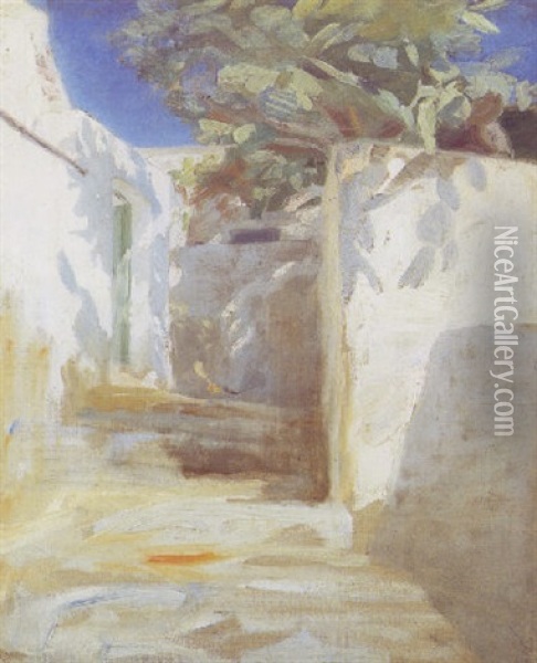Trappegade Med Hvidkalkede Mure Fra Anacapri Pa Capri Oil Painting - Peder Severin Kroyer