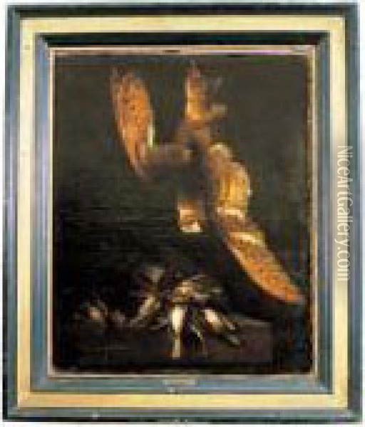 Nature Morte Aux Oiseaux Et Chouette Effraie Oil Painting - Jacobus Jacobs