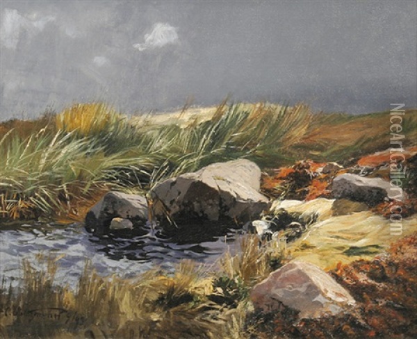 Landschaft Mit Felsigem Gewasser Oil Painting - Carl Saltzmann