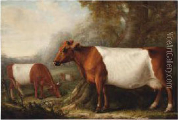 Cattle In The Forest Clearing Oil Painting - William Shiels