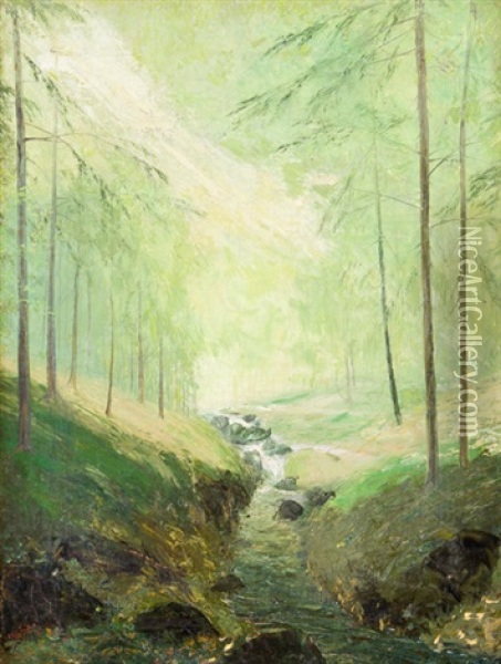 Horska Bystrina Oil Painting - Jan B. Minarik