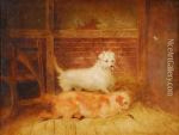 Two Spanielsratting In A Barn Oil Painting - George Armfield