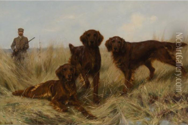 A Trio Of Irish Setters In The Field Oil Painting - Thomas Blinks