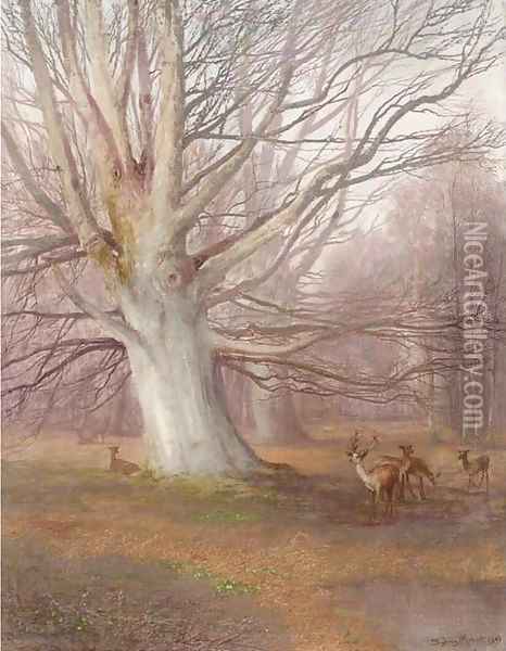 Deer in a beech wood Oil Painting - Sydney Herbert