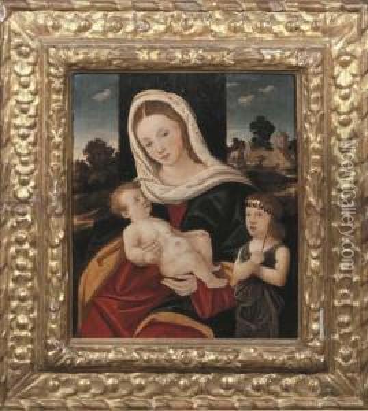 The Madonna And Child With The Infant Saint John The Baptist Oil Painting - Girolamo da Santacroce