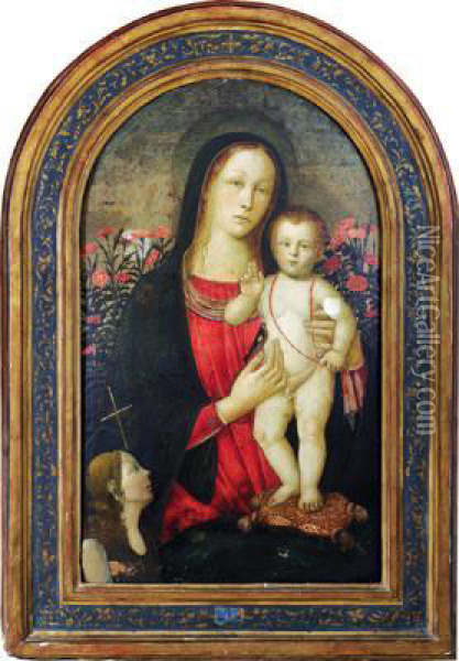 La Madonna Con Il Bambino Oil Painting - Jacopo Del Sellaio