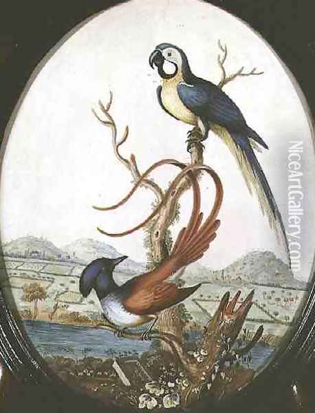 Lyrebird and Jay Oil Painting - William Hayes