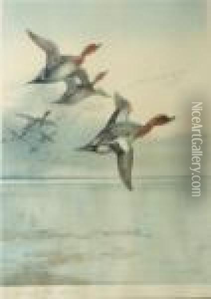 Ducks Flighting Oil Painting - Archibald Thorburn