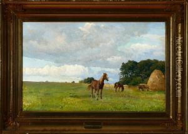 Horses On A Meadow Oil Painting - Edvard Frederik Petersen