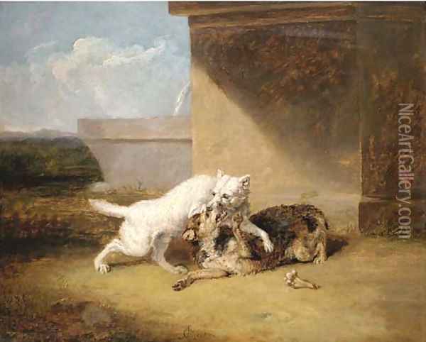 A dog-fight Oil Painting - Abraham Cooper