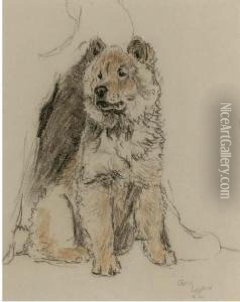 Study Of A Chow Chow Oil Painting - Cecil Charles Aldin