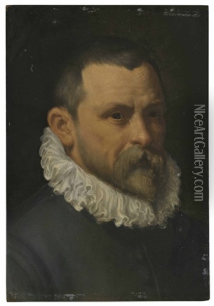 Portrait Of A Gentleman, Bust-length Oil Painting - Annibale Carracci