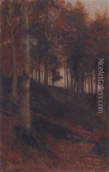An Autumnal Woodland Scene Oil Painting - James Thomas Watts
