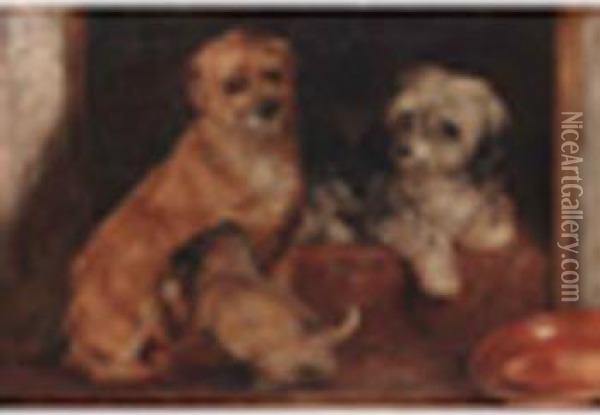 Attributed To Alexander Davis Cooper Terriers In A Kennel Oil On Paper Laid Down On Canvas7 X 10in Oil Painting - Alexander Davis Cooper