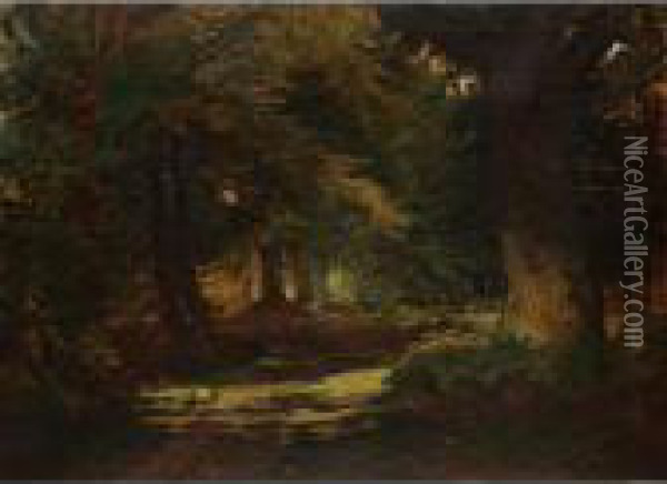 Woodland Scene With Rabbits Oil Painting - Edmund George Warren