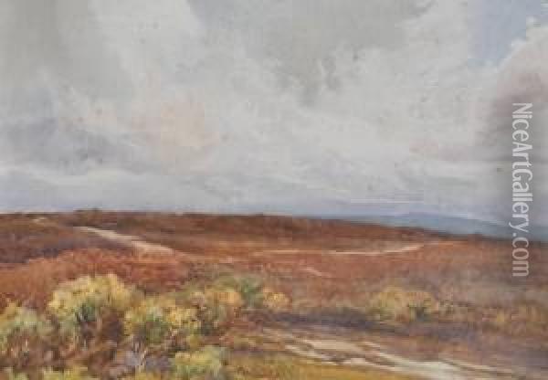 North Downs Nearguildford Oil Painting - Charles Shepherd