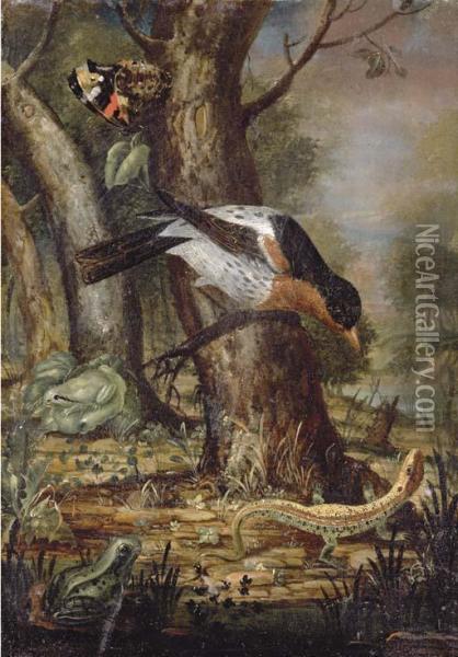 A Forest-floor Still Life With A Thrush On A Branch Oil Painting - Johann-Adalbert Angermeyer